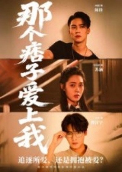 《那个痞子爱上我》免费在线观看短剧高清全集完整版