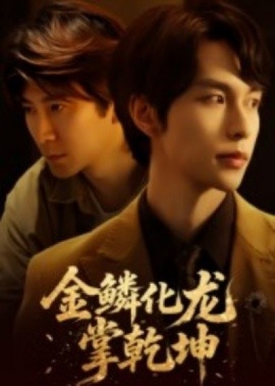 《金鳞化龙掌乾坤》免费在线观看短剧高清全集完整版