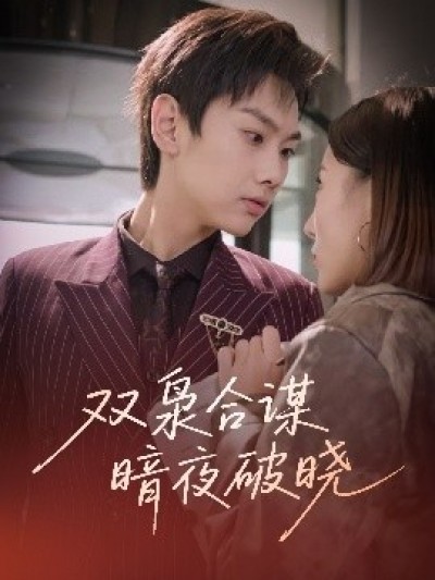 《双枭合谋暗夜破晓》免费在线观看短剧高清全集完整版