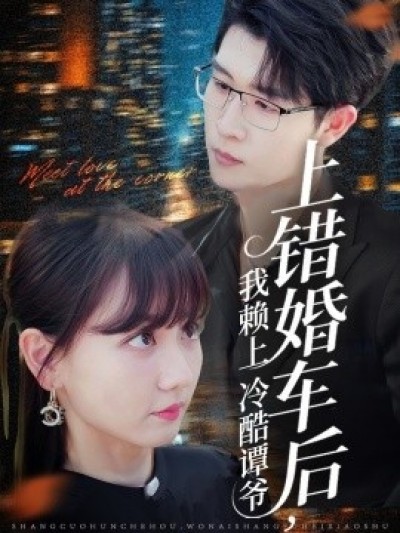 《上错婚车后，我赖上冷酷谭爷》免费在线观看短剧高清全集完整版