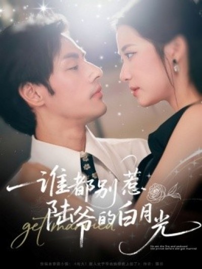 《谁都别惹陆爷的白月光》免费在线观看短剧高清全集完整版