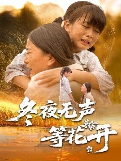 《冬夜无声等花开》免费在线观看短剧高清全集完整版