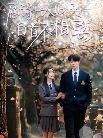 《愿得一人心白首不相离》免费在线观看短剧高清全集完整版