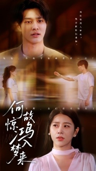 《何故惊鸿入梦来》免费在线观看短剧高清全集完整版