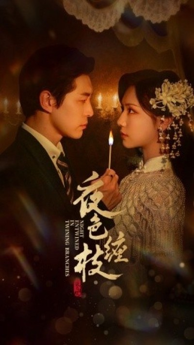《夜色缠枝》免费在线观看短剧高清全集完整版