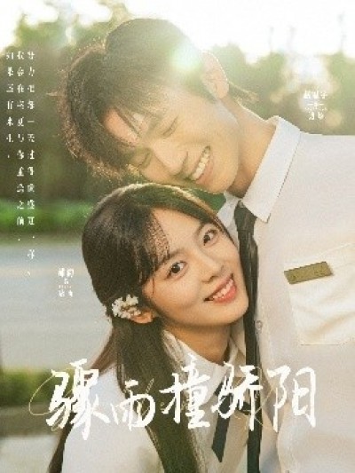 《骤雨撞骄阳》免费在线观看短剧高清全集完整版