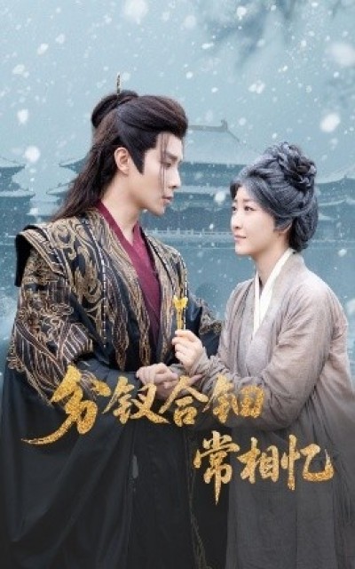《分钗合钿常相忆》免费在线观看短剧高清全集完整版