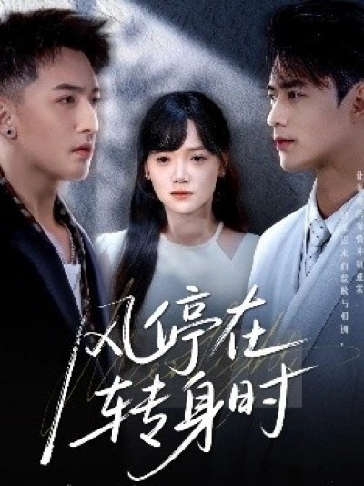 《风停在转身时》免费在线观看短剧高清全集完整版