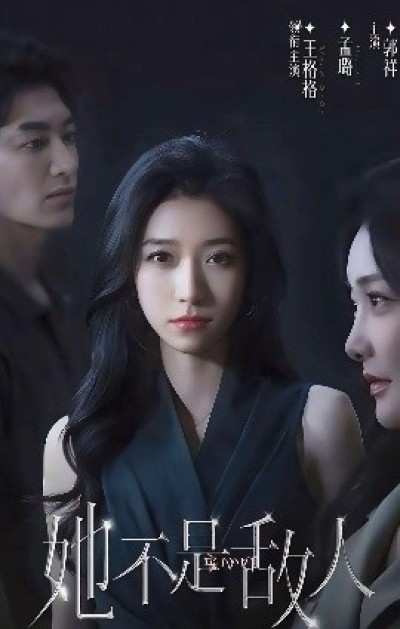 《她不是敌人》免费在线观看短剧高清全集完整版