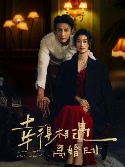 《幸得相遇离婚时》免费在线观看短剧高清全集完整版