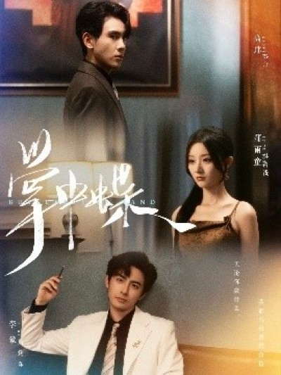 《掌中蝶》免费在线观看短剧高清全集完整版