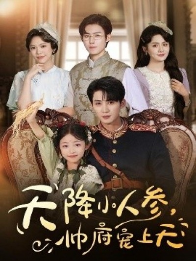 《天降小人参,帅府宠上天》免费在线观看短剧高清全集完整版