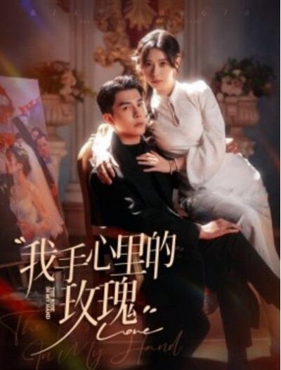 《我手心里的玫瑰》短剧高清全集免费在线观看播放完整版