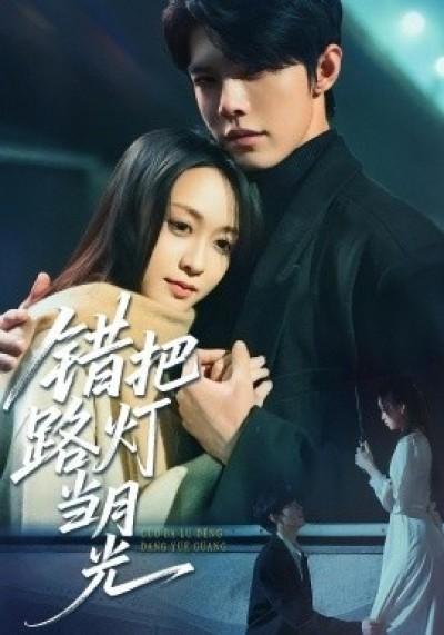 《错把路灯当月光》免费在线观看短剧高清全集完整版