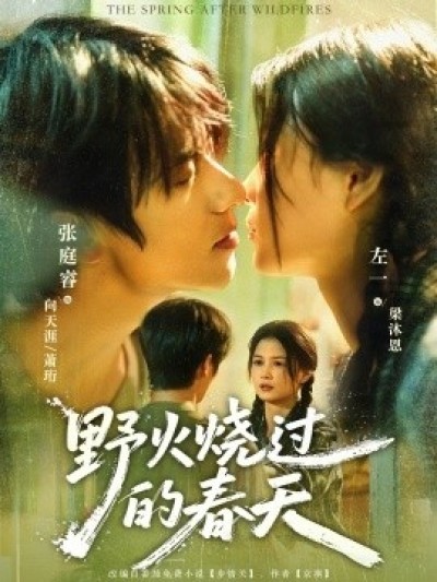 《野火烧过的春天》免费在线观看短剧高清全集完整版