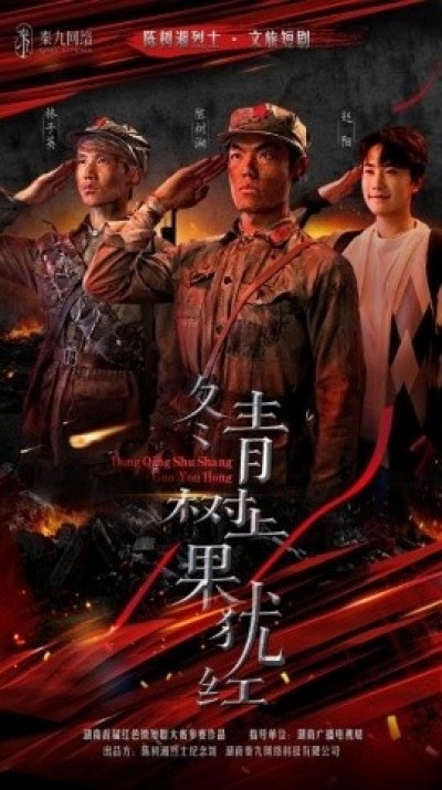 《冬青树上果犹红》免费在线观看短剧高清全集完整版