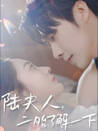 《陆夫人，二胎了解一下》免费在线观看短剧高清全集完整版