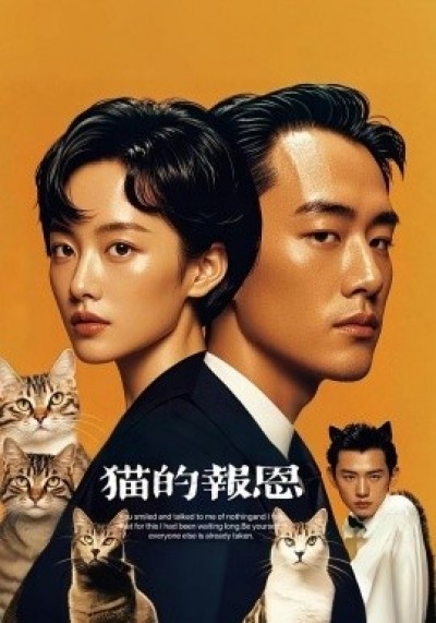 《猫的报恩》免费在线观看短剧高清全集完整版