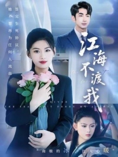 《江海不渡我》免费在线观看短剧高清全集完整版