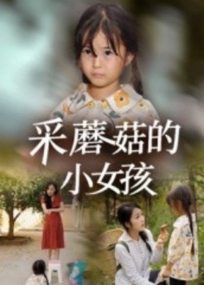 《采蘑菇的小女孩》免费在线观看短剧高清全集完整版
