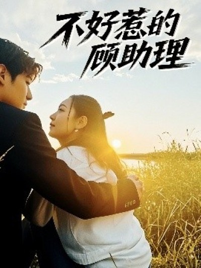 《不好惹的顾助理》免费在线观看短剧高清全集完整版