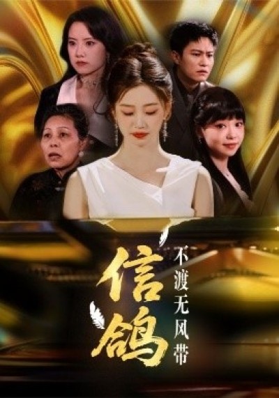 《信鸽不渡无风带》免费在线观看短剧高清全集完整版