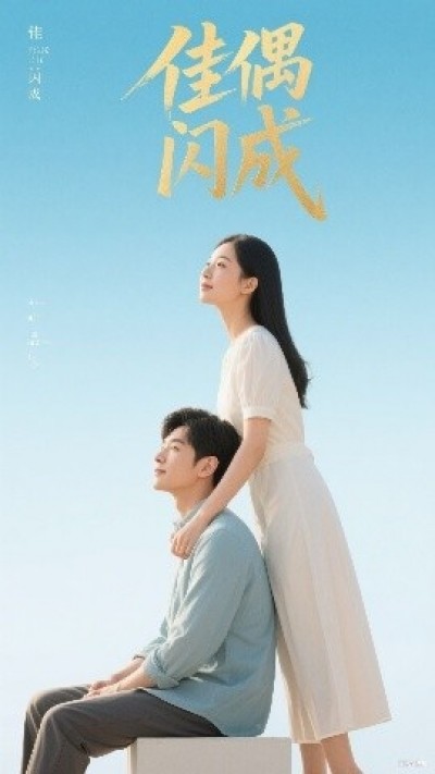 《佳偶闪成》免费在线观看短剧高清全集完整版