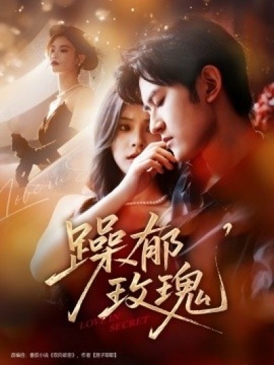 《躁郁玫瑰》免费在线观看短剧高清全集完整版