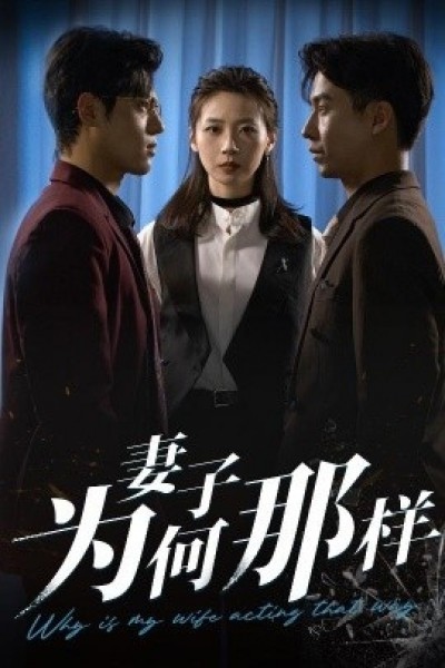 《妻子为何那样》免费在线观看短剧高清全集完整版