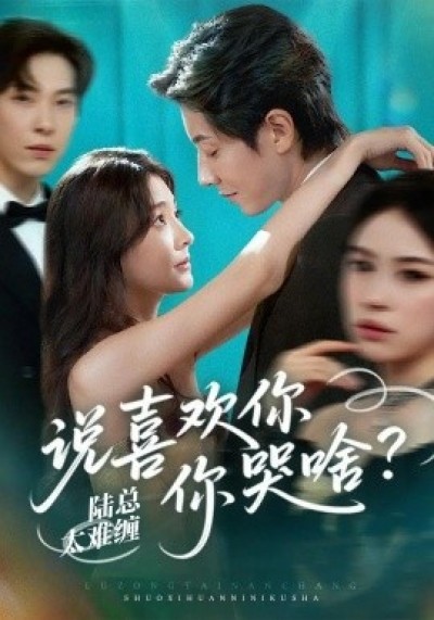 《陆总太难缠，说喜欢你你哭啥？》免费在线观看短剧高清全集完整版