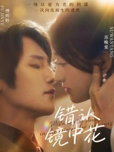 《错认镜中花》免费在线观看短剧高清全集完整版