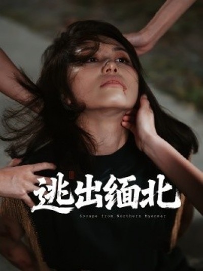 《逃出缅北》免费在线观看短剧高清全集完整版