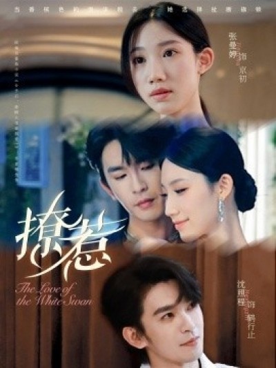 《撩惹》免费在线观看短剧高清全集完整版