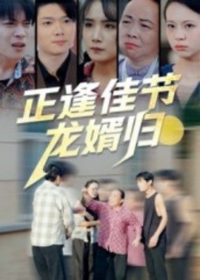 《正逢佳节龙婿归》免费在线观看短剧高清全集完整版