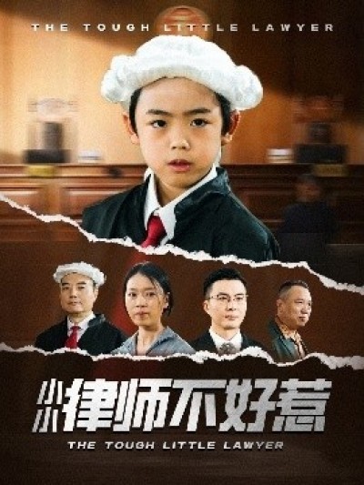 《小小律师不好惹》免费在线观看短剧高清全集完整版
