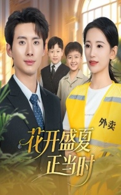 《花开盛夏正当时》免费在线观看短剧高清全集完整版