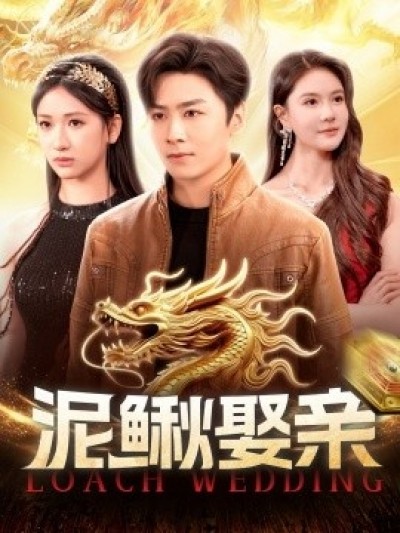 《泥鳅娶亲》免费在线观看短剧高清全集完整版