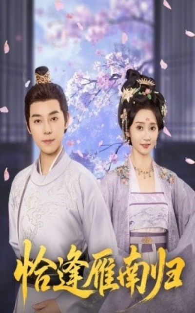 《恰逢雁南归》免费在线观看短剧高清全集完整版