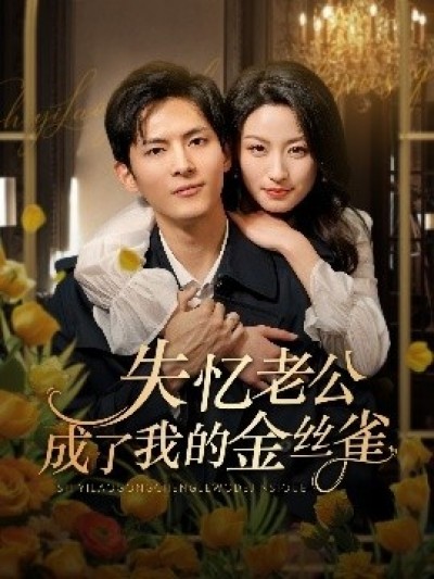 《失忆老公成了我的金丝雀》免费在线观看短剧高清全集完整版