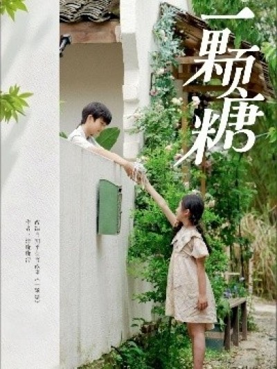 《一颗糖》免费在线观看短剧高清全集完整版
