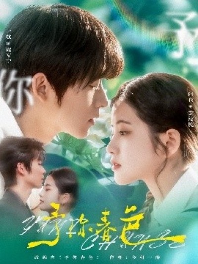 《予你春色》免费在线观看短剧高清全集完整版