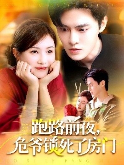 《跑路前夜，危爷锁死了房门》免费在线观看短剧高清全集完整版