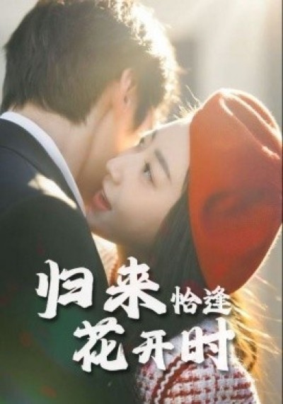 《归来恰逢花开时》免费在线观看短剧高清全集完整版