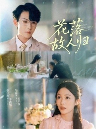 《花落故人归》免费在线观看短剧高清全集完整版