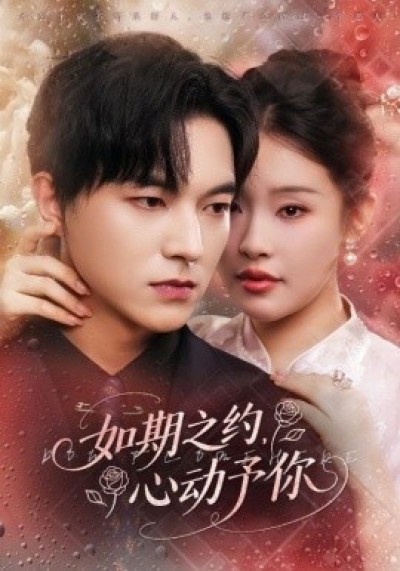 《如期之约，心动予你》免费在线观看短剧高清全集完整版
