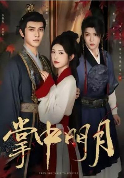 《掌中明月》免费在线观看短剧高清全集完整版