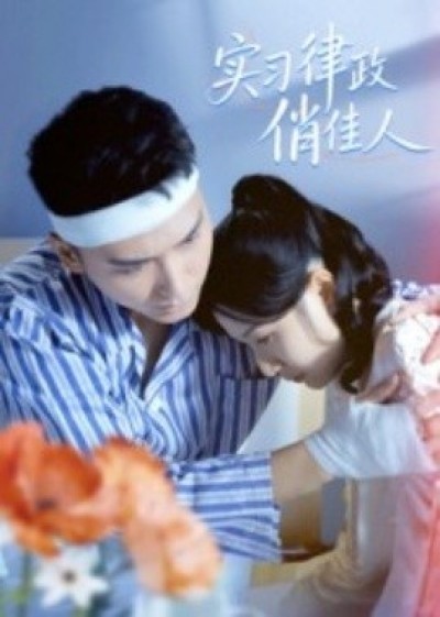 《实习律政俏佳人》免费在线观看短剧高清全集完整版