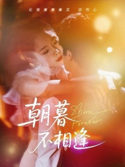 《朝暮不相逢》免费在线观看短剧高清全集完整版