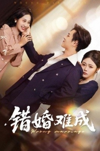 《错婚难成》免费在线观看短剧高清全集完整版