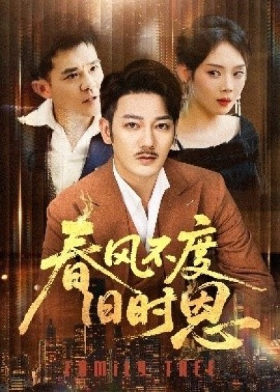 《春风不度旧时恩》免费在线观看短剧高清全集完整版